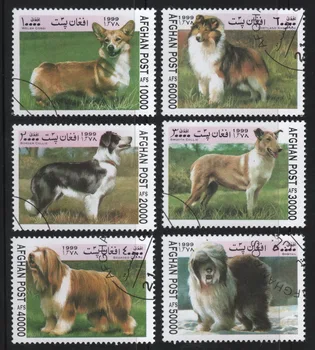 6 Adet/takım Afh Posta Pulları 1999 Pet Köpekler Kullanılan Posta İşaretli Posta Pulları Toplamak için