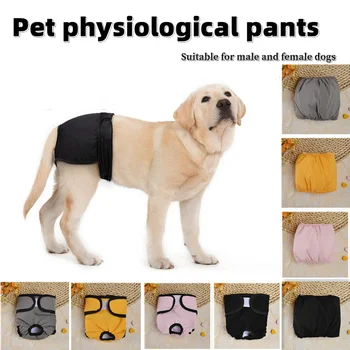 Köpek Yıkanabilir fizyolojik pantolon Erkek köpek önleme kızgınlık külot adet güvenlik pantolon Evcil Sıhhi Külot Kibar kemer